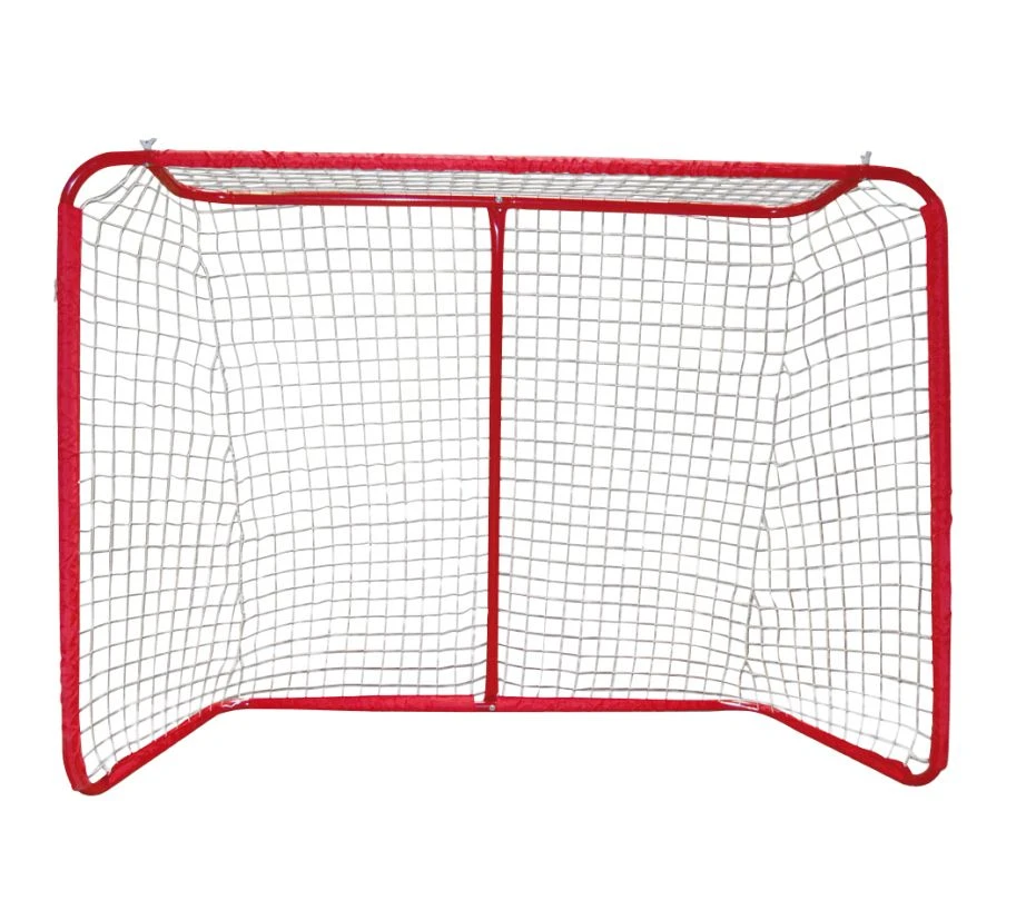 Streethockey-Tor 3 Streethockey-Tor