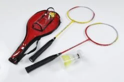 Schildkröt® Badminton Set 2-Player -Torro Talbot Verkaufe D9708 A02 ecommerce