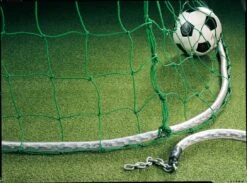 Kettennetzbeschwerung -Torro Talbot Verkaufe H1504 01 ecommerce