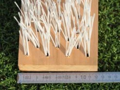 Polytan® Bürstenleiste Für ACS 120 Pflegegerät -Torro Talbot Verkaufe P5023 A02 ecommerce