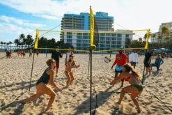 Hammer® CROSSNET Four Square Volleyball -Torro Talbot Verkaufe T1811 B03 ecommerce