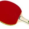 Tanga Sports® Tischtennisschläger SCHOOL -Torro Talbot Verkaufe T48090 00 ecommerce 1