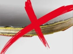 Donic-Schildkröt® Tischtennisschläger PROTECTION LINE S300 -Torro Talbot Verkaufe T49710 A02 ecommerce 1